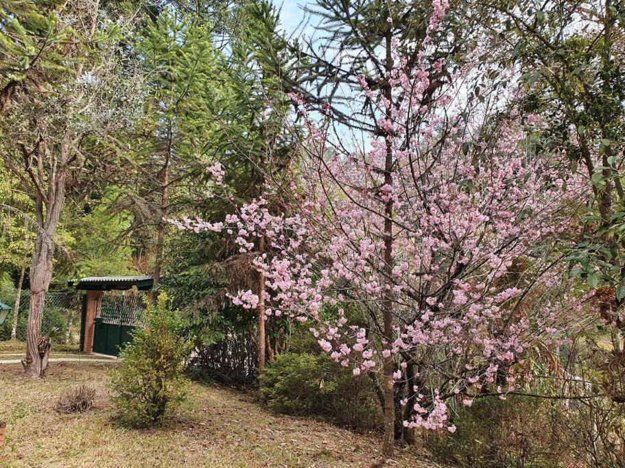 Casa Da Nanna Campos Villa Campos do Jordao Exterior photo